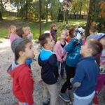Faunapark říjen (2)