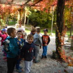 Faunapark říjen (4)
