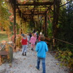 Faunapark říjen (6)