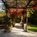 Faunapark říjen (7)