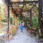Faunapark říjen (8)