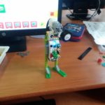 IMG_20181120_093717