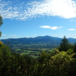 DSCN8056
