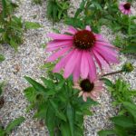 IMG_20190927_144021
