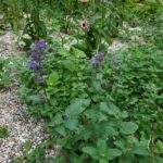 IMG_20190927_144028