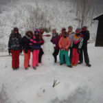 DSCN8518