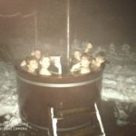 IMG_20200204_183547