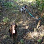 IMG_20201009_145048