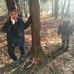 IMG_20221012_161535
