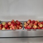 20230922_111018