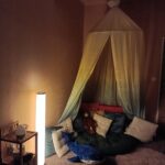 shared image (5)