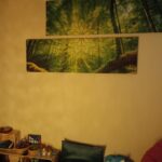 shared image (6)