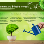 Infografika - Mozek