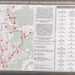 Image (4)
